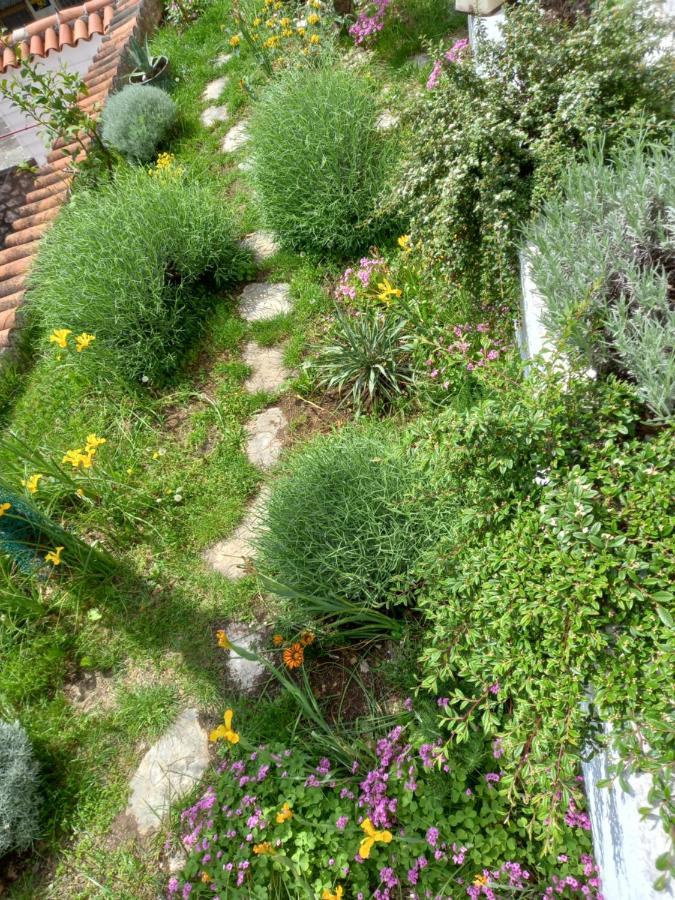 Apartmani Iris I Ana Crikvenica Esterno foto
